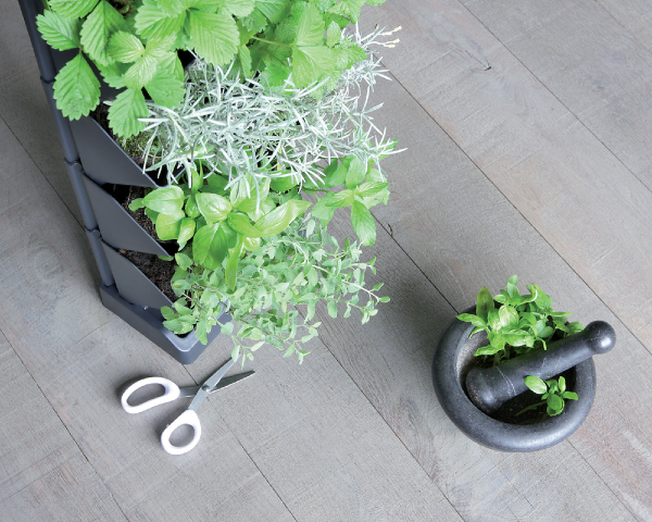 Ogród wertykalny antracyt stojący Mini Cascade 4x1L