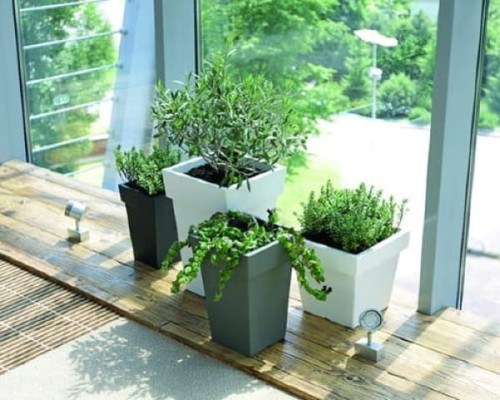 Doniczka wysoka Lofly Square antracyt aranzacja w ogrodzie