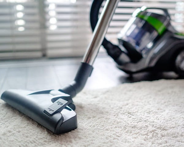 Odkurzacz bezworkowy sieciowy 700 W Teesa Vacuum Green