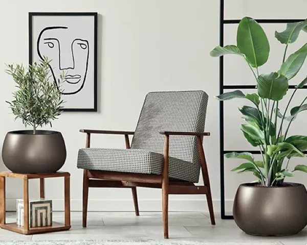 donica okragla w ksztalcie kuli prosperplast heos eco wood aranzacja w salonie