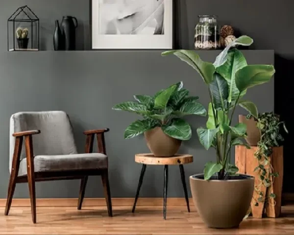 donica-okragla-heos-eco-wood-aranzacja-w-salonie