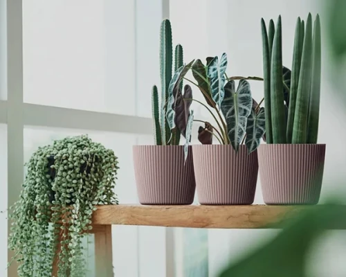 Doniczka Milly Round aranzacja na polce