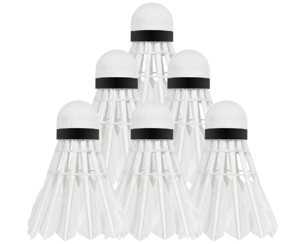 Lotki piórowe do badmintona z pierza 6szt tuba Rebel Active