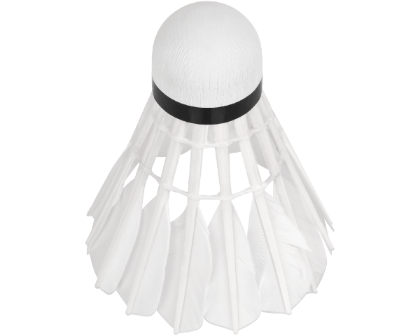 Lotki piórowe do badmintona z pierza 6szt tuba Rebel Active