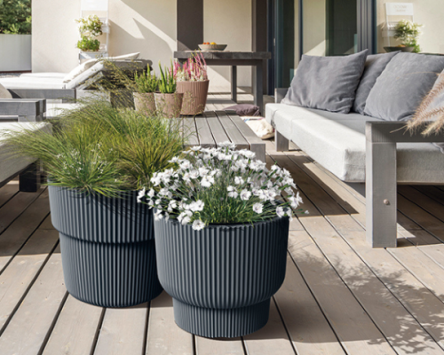 Donica mrozoodporna Milly Pods aranzacja na tarasie