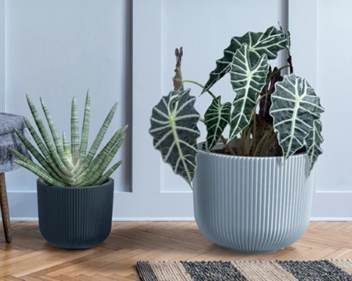 doniczka-okragla-milly-prosperplast-14l-aranzacja-w-salonie