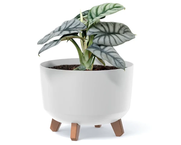 donica-standard-gracia-aranzacja-z-roslina