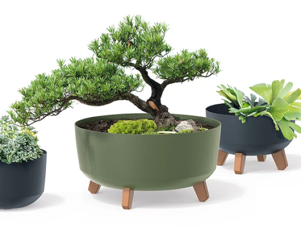 Donica-niska-Gracia-rozne-rozmiary-aranzacja-z-roslina