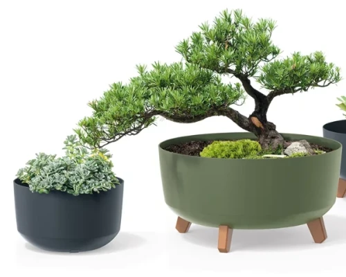 Doniczka-niska-Gracia-rodzaje-aranzacja-z-roslina