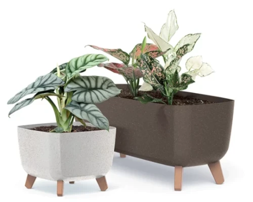 Donice Prosperplast Gracia zaprezentowane wraz z roślinami.