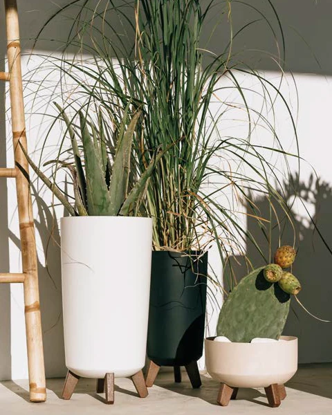 Donica Gracia Tubus Slim aranzacja z roslinami