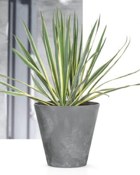 doniczka-okragla-tubus-beton-effec-aranzacja-z-roslina