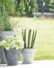 doniczka-okragla-tubus-beton-effect-aranzacja-w-ogrodzie