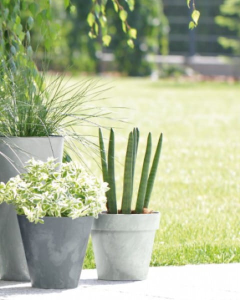 doniczka-okragla-tubus-beton-effect-aranzacja-w-ogrodzie
