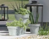 prosperplast cube case beton effect doniczki dekoracyjne prezentacja w ogrodzie