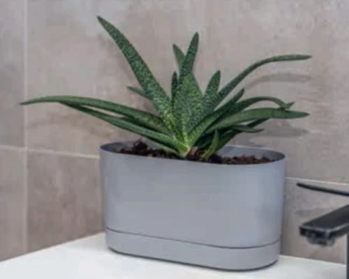 Doniczka-dluga-z-podstawka-szara-27cm-Satina-aranzacja