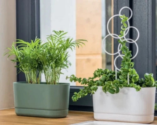 Nowoczesne doniczki Form-Plastic Satina z roślinami ustawione w salonie