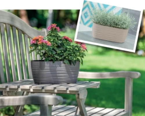 Owalna doniczka Sahara Petit z zieloną rośliną, ustawiona na stole