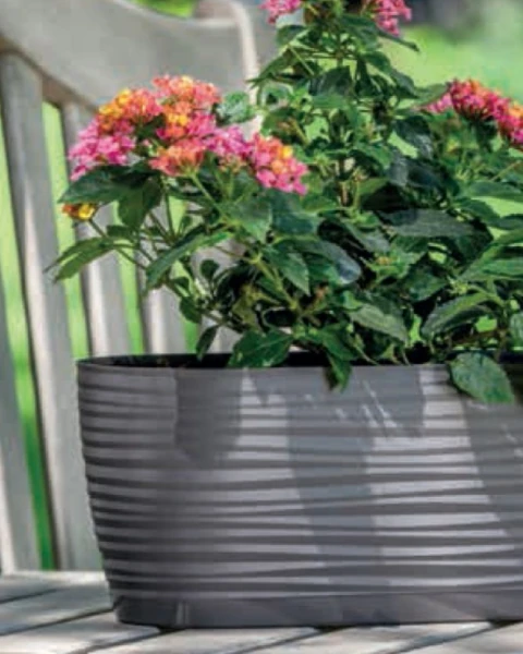 Doniczka-na-parapet-z-podstawka-biala-26,7-cm-Sahara-Petit-aranzacja