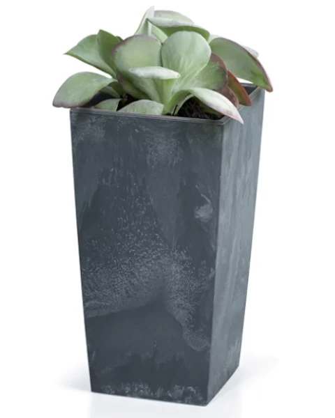 donica-z-wkladem-urbi-square-prezentacja-z-roslina