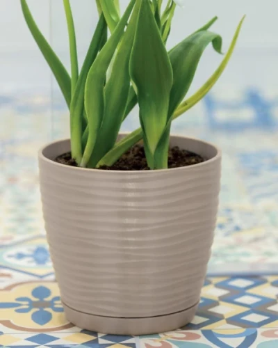 doniczka-z-podstawka-okragla-1-litr-grafitowa-form-plastic-sahara-round-prezentacja-w-domu