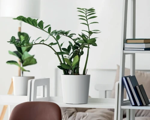 prosperplast urbi round doniczka biala z wkladem - aranzacja w salonie