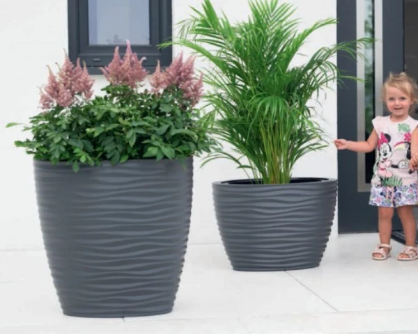 Duża donica Sahara Dunes z okazałą rośliną ustawiona przed domem, kontrastująca z jasną elewacją budynku.