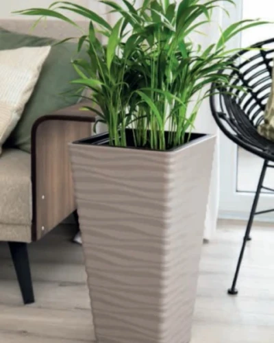 Nowoczesna donica z rośliną zieloną ustawiona w salonie obok kanapy