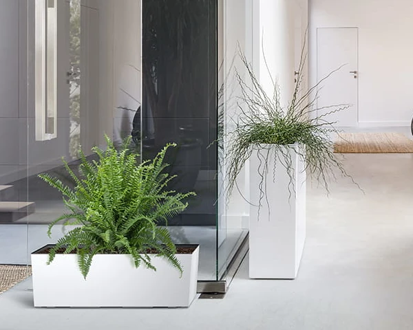 prosperplast urbi case t donica prostokatna  biala aranzacja w hollu