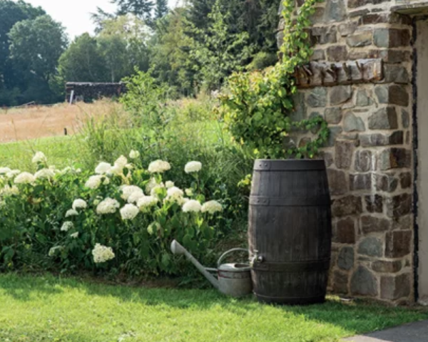 beczka na deszczowke prosperplast barrique 250l aranzacja w ogrodzie