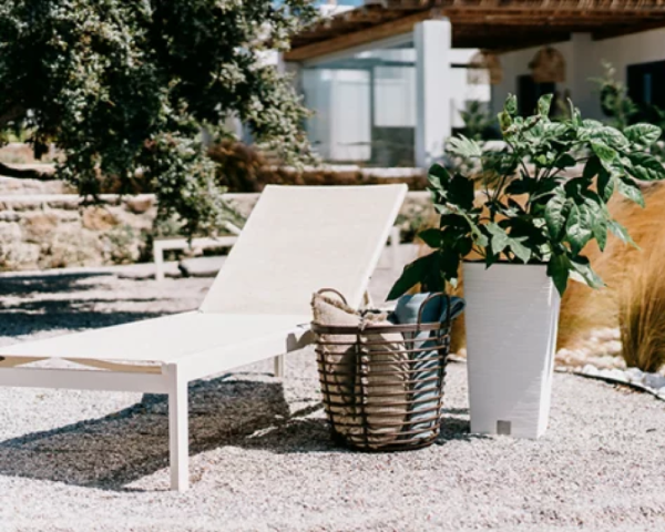 Donica-wysoka-Furu-Square-aranzacja-w-ogrodzie