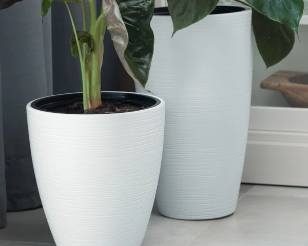 donica-mrozoodporna-z-wkladem-przykladowa-aranzacja-z-roslinami