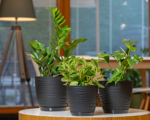 doniczka-okragla-15-cm-form-plastic-sahara-round-aranzacja-w-domu