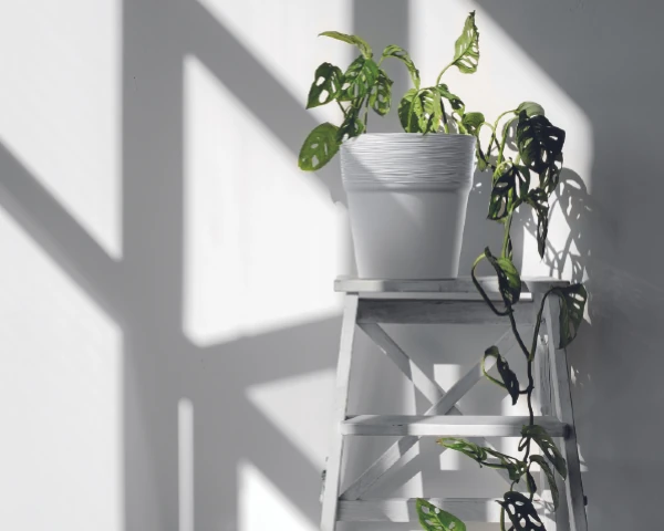 stylowa doniczka szara furu round aranzacja w domu