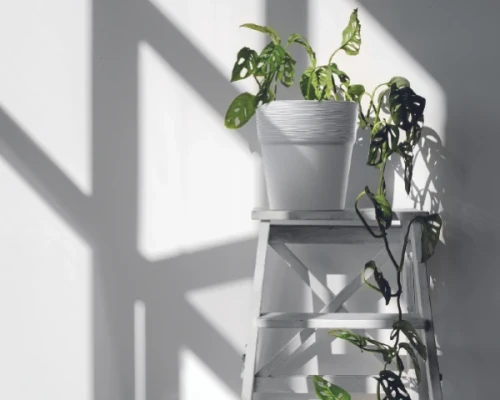 prosperplast okragla doniczka szara 1,6L furu round prezntacja w domu