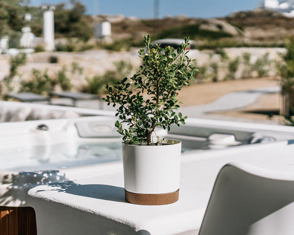 Doniczka z podstawka okragla Tubo aranzacja na tarasie