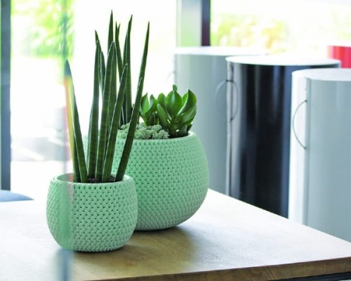 Doniczka z wkladem Splofy Bowl aranzacja w domu