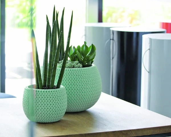 doniczka-z-wkladem-splofy-bowl-aranzacja-w-domu