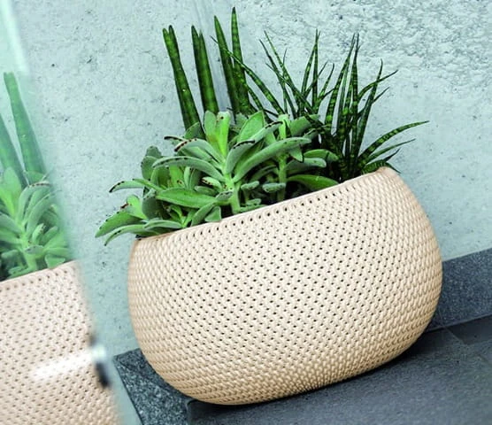 Doniczka-z-wkladem-Splofy-Bowl-aranzacja-z-roslina