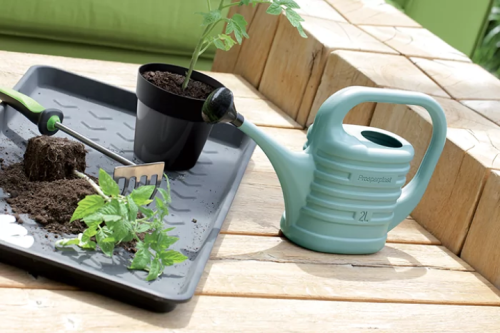 Konewka ogrodowa 10L zielona szałwia Zebra