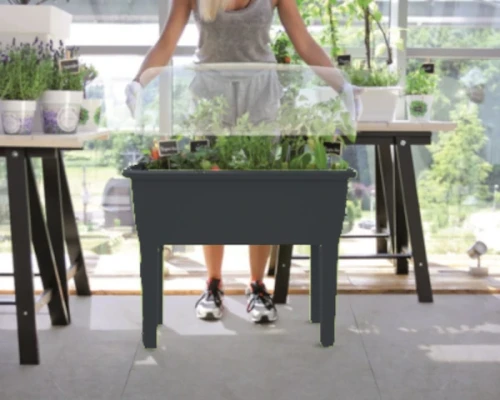 szklarnia-domowa-prosperplast-respana-planter-aranzacja