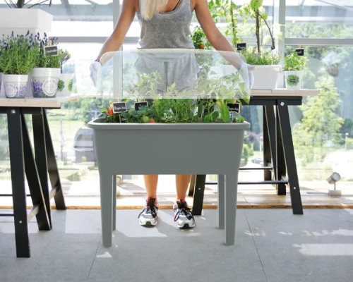 szklarnia-domowa-prosperplast-respana-planter-aranzacja