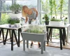 rozsadnik-prosperplast-respana-planter-aranzacja