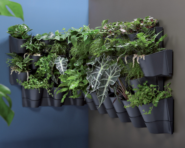 Ogród wertykalny na ścianę Cascade Wall 12 x 0,75L