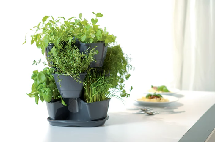 Doniczka kaskadowa wisząca ziołówka potrójna grafit Coubi Family