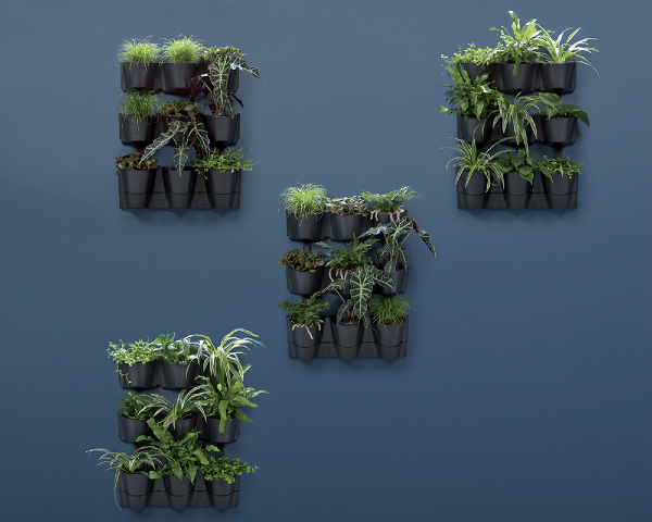 Ogród wertykalny na ścianę Cascade Wall 12 x 0,75 litra