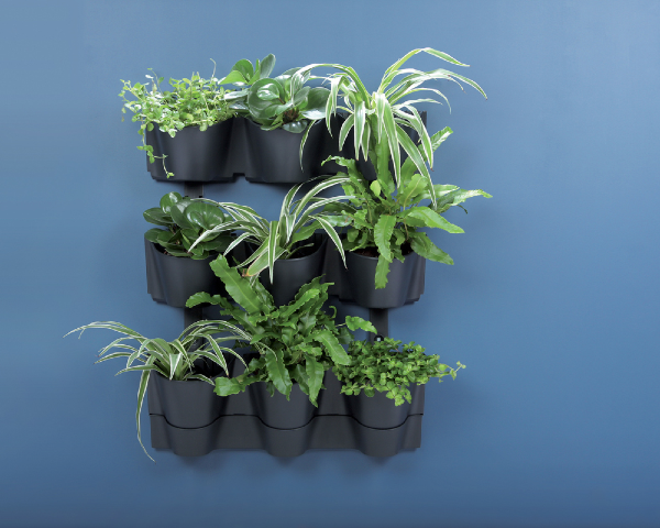 Ogród wertykalny na ścianę Cascade Wall 12 x 0,75L