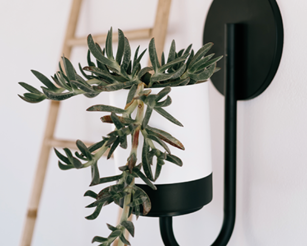 Doniczka wisząca kwietnik ścienny Bloomie Hanger aranżacja