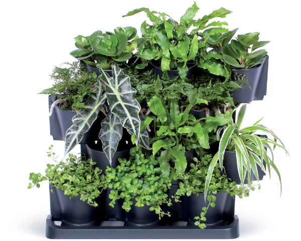 Zielona ściana doniczki 12 x 0,75 litra ogród werykalny Cascade Garden