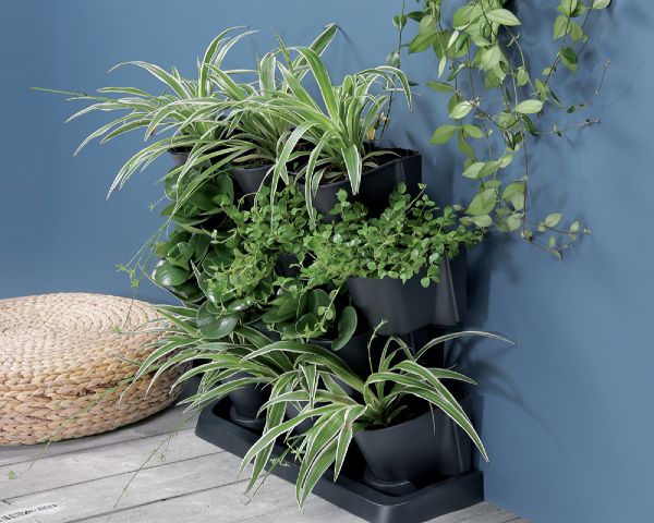 Ogród wertykalny duży stojący Cascade Garden 12 x 0,75L